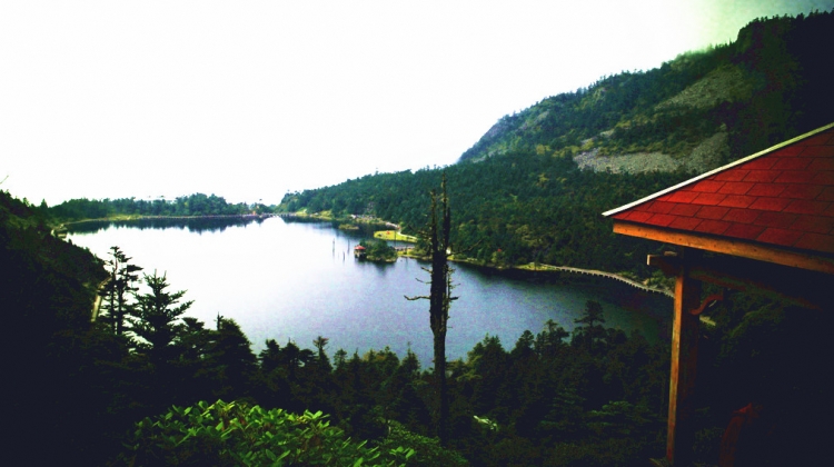 469.JPG