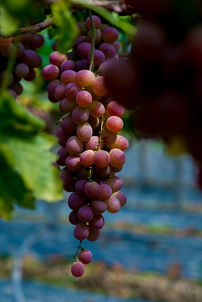 DSC_7714.jpg