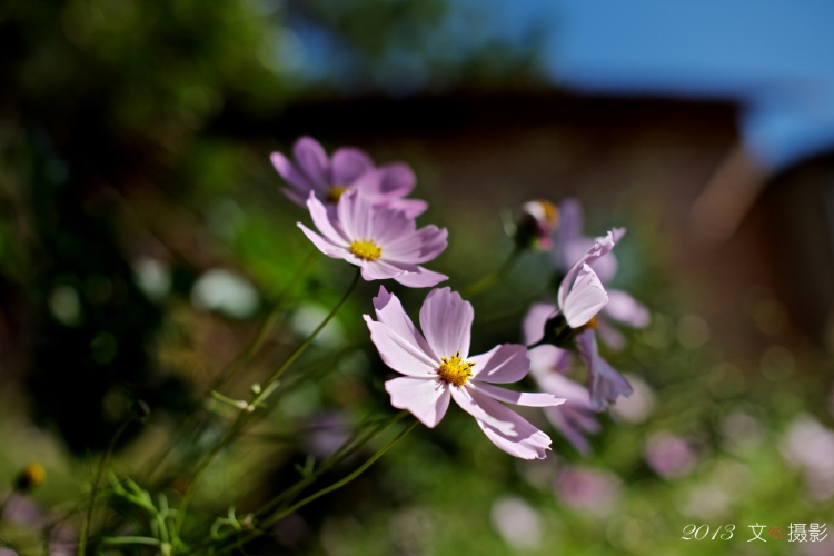 AAA_7791.jpg
