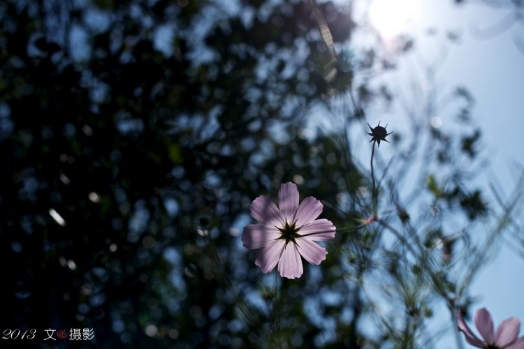 AAA_7800.jpg