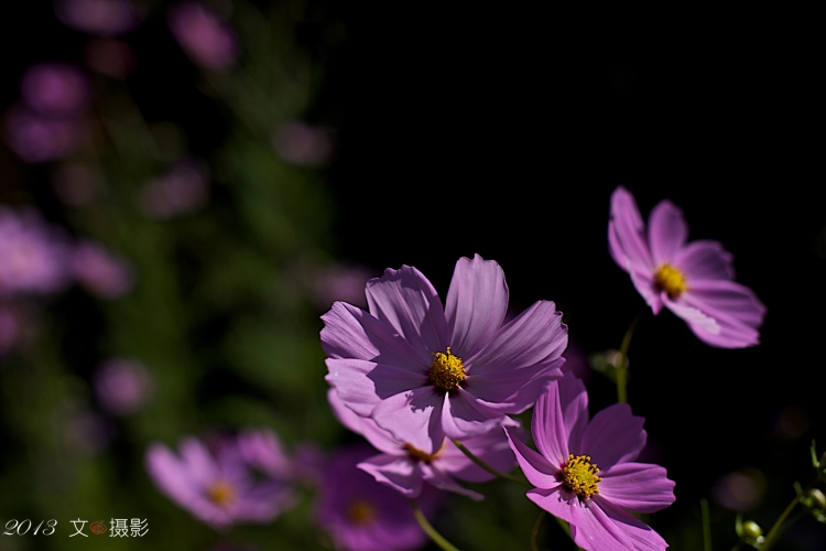 AAA_7801.jpg