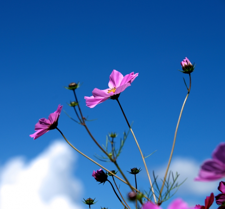 AAA_8078.jpg
