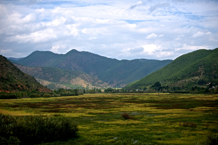 AAA_8830.jpg