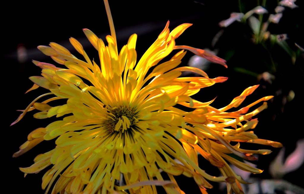 DSC_8869.JPG