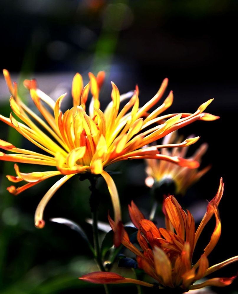 DSC_8870.JPG