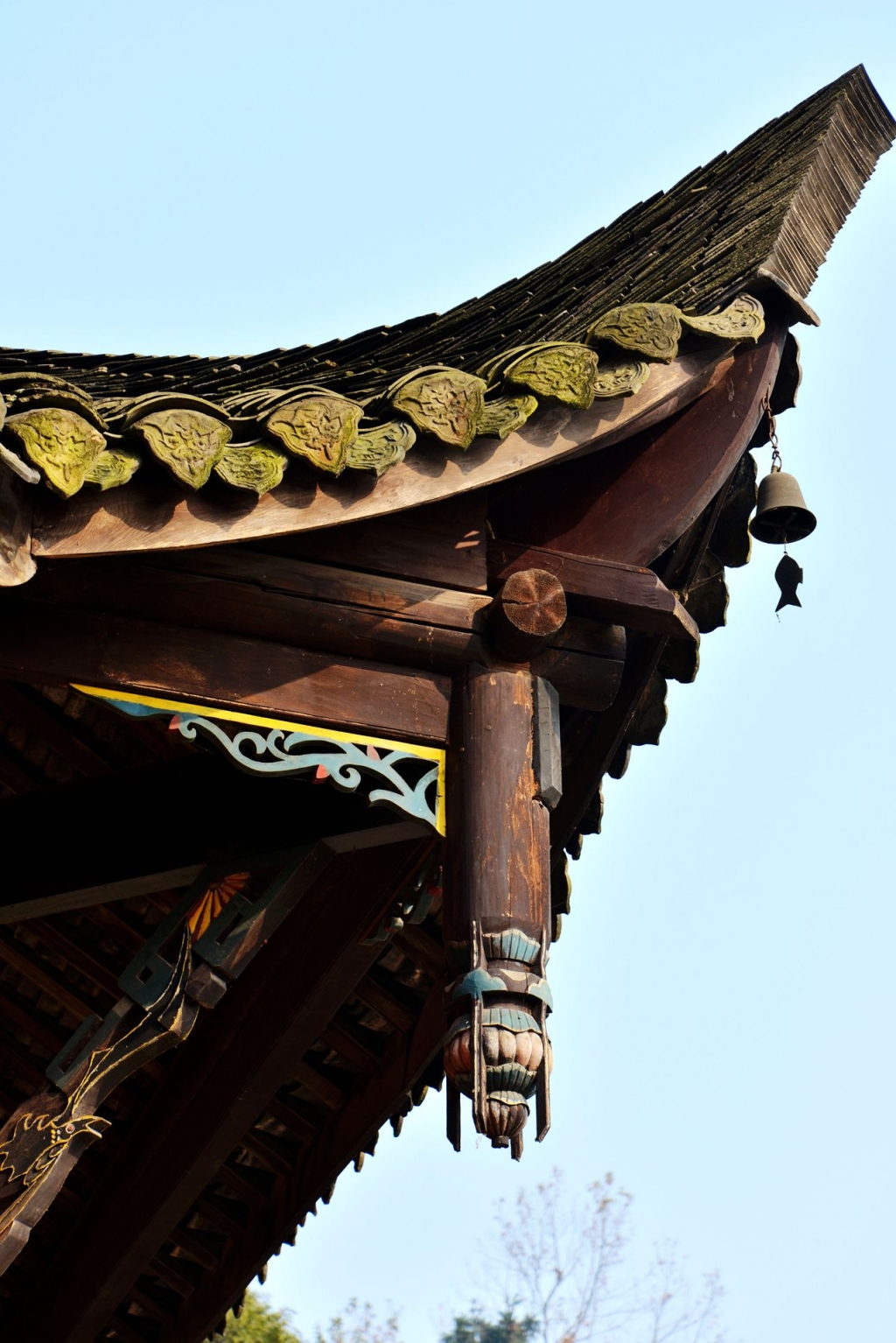 DSC_9034_副本_副本.jpg