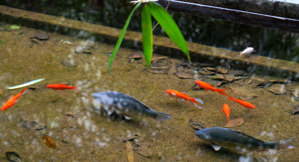 DSC_9122_副本_副本.jpg