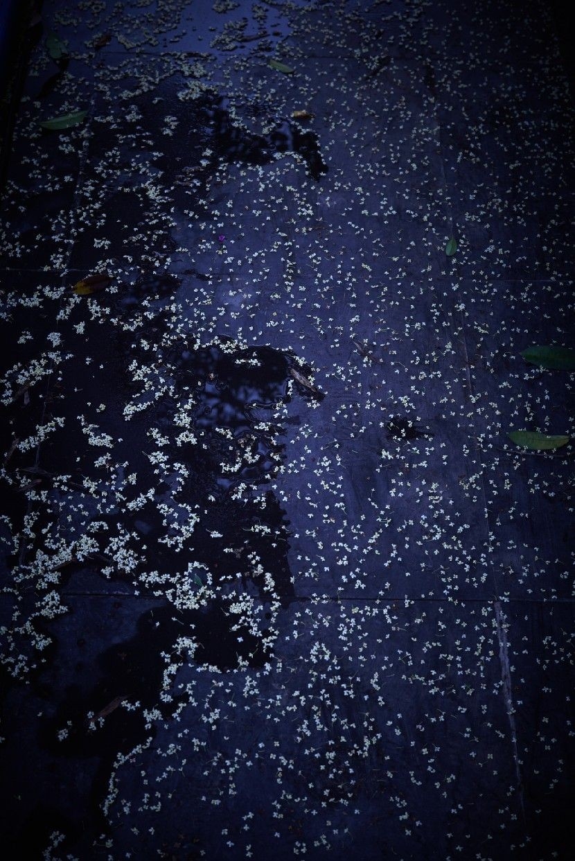 QQ图片20130913170655.jpg