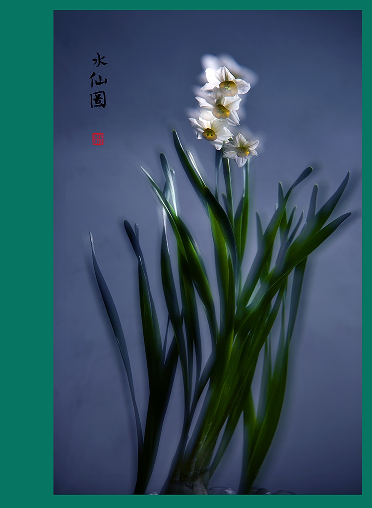 5K6A6651 副本.jpg