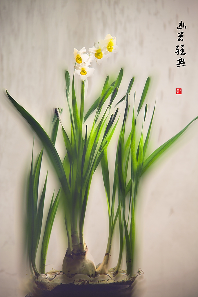 5K6A6782 副本.jpg