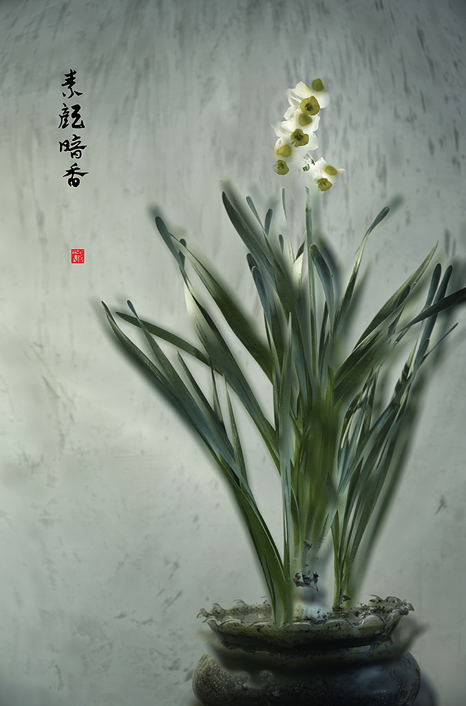 5K6A6865 副本.jpg