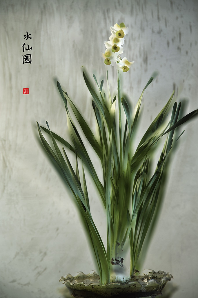 5K6A6890 副本.jpg