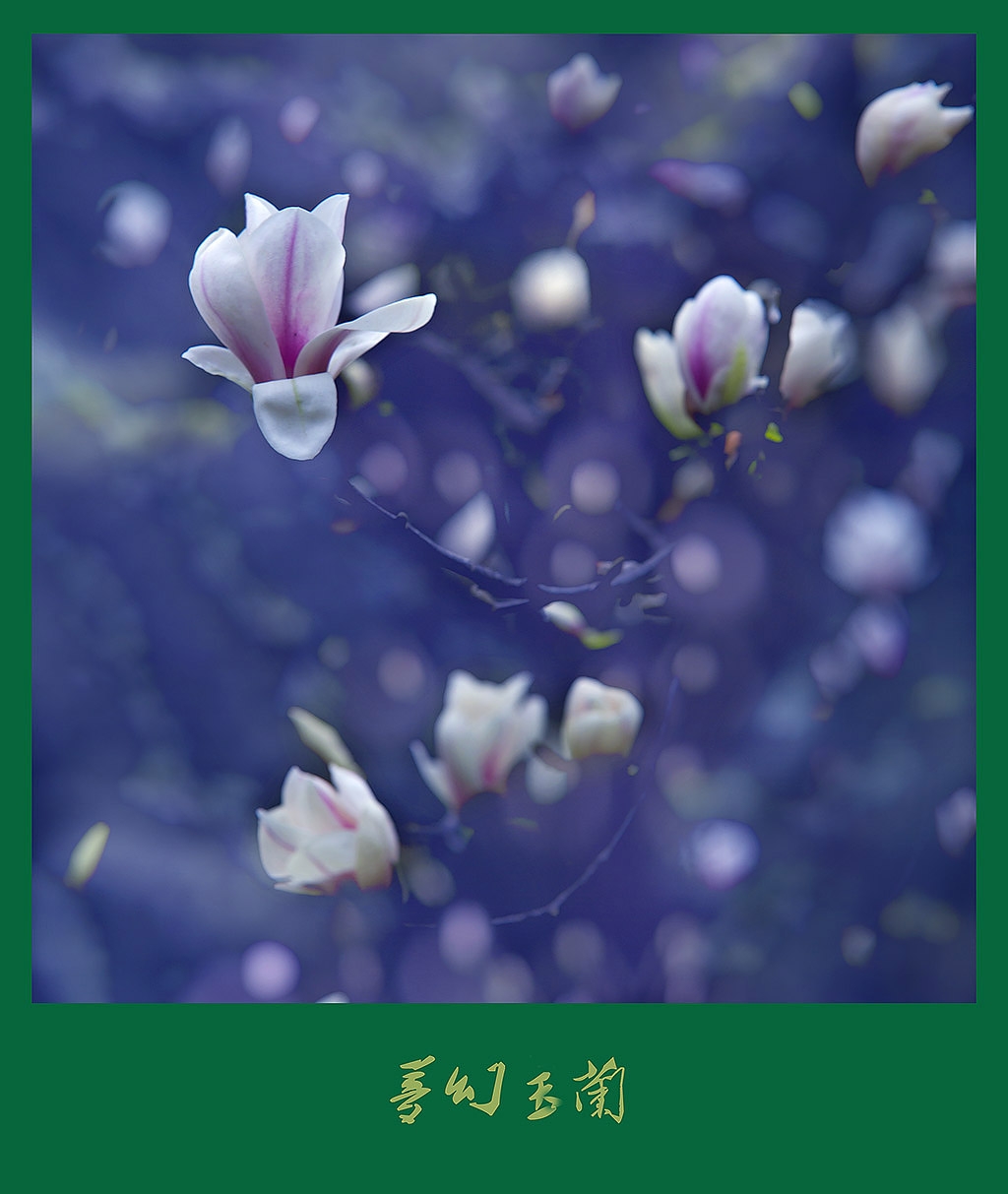 5K6A9728 副本..jpg