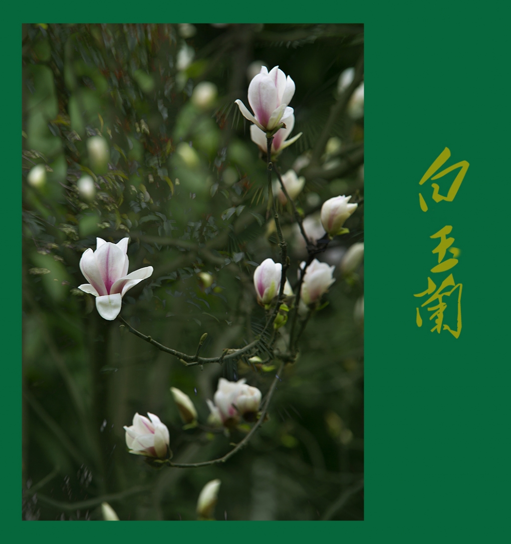 5K6A9738 副本.jpg