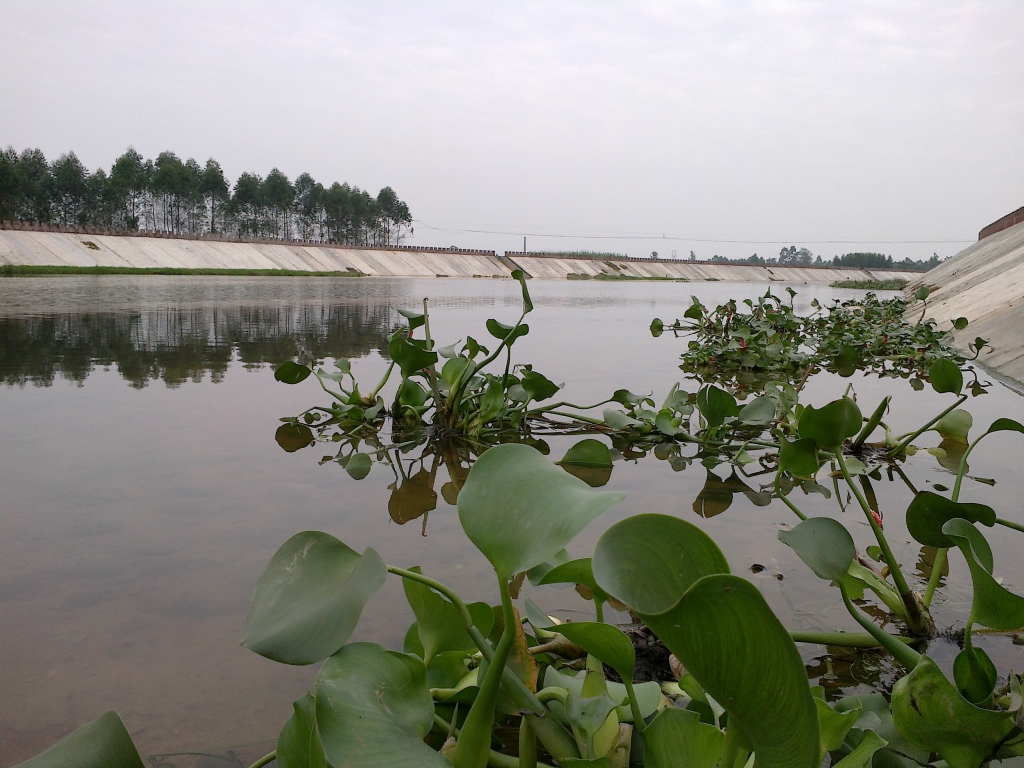 20121013473.jpg