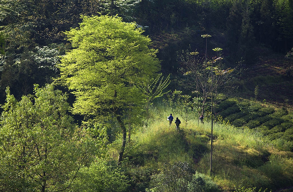 5K6A1154 副本.jpg