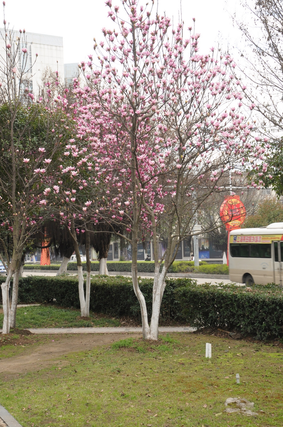 DSC_0001.JPG