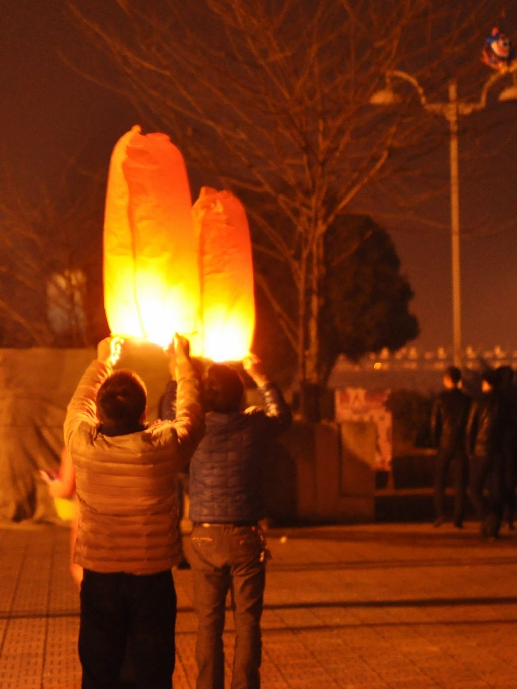 DSC_0732.jpg