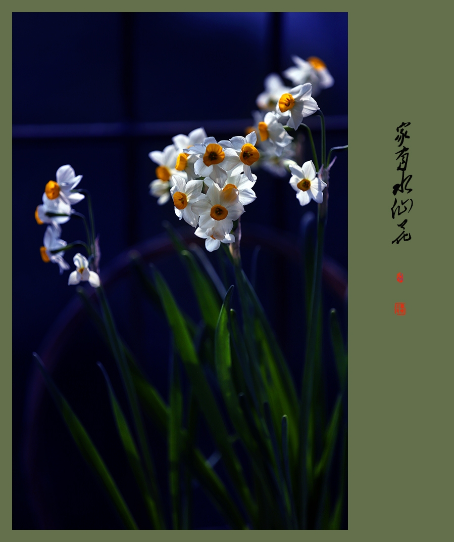 A04O9759 拷贝 2.jpg