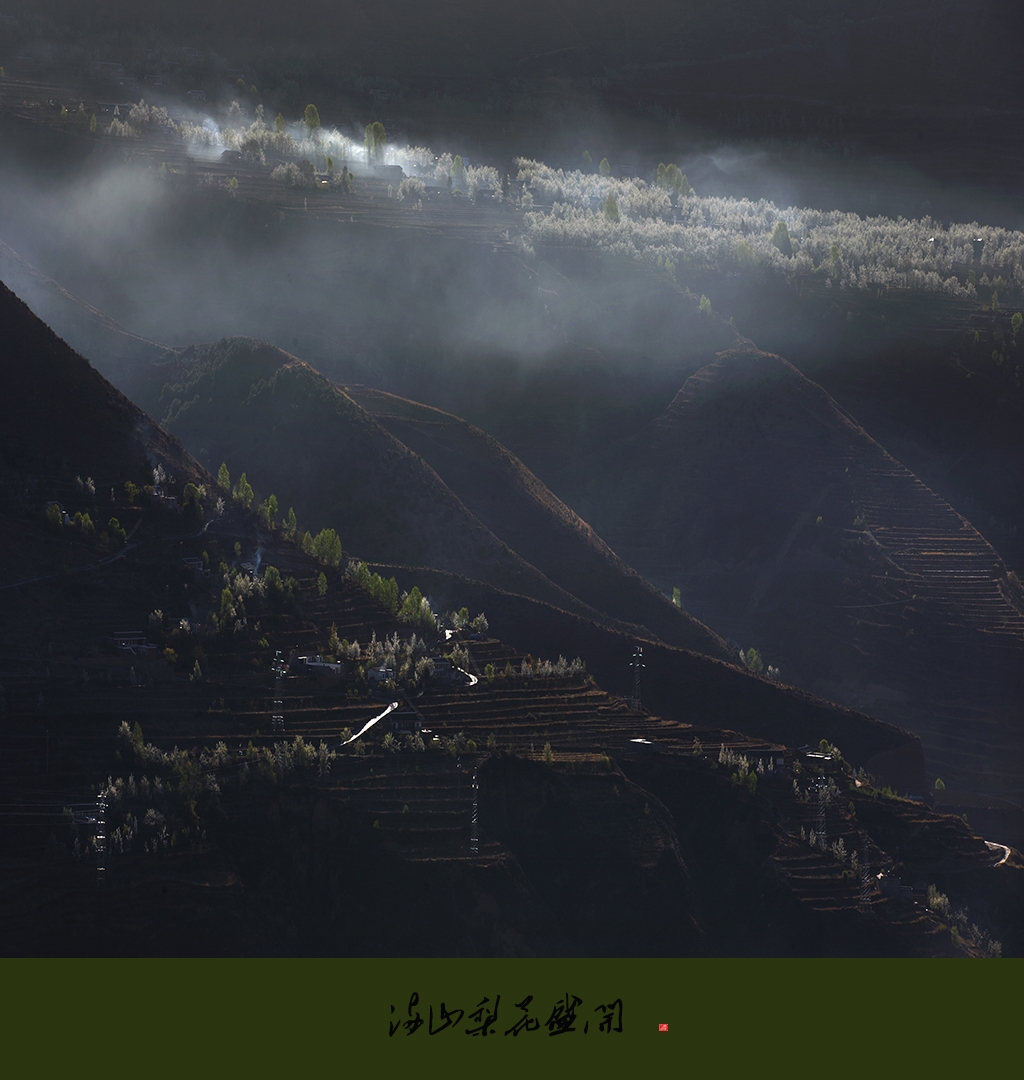 A04O4531 拷贝.jpg