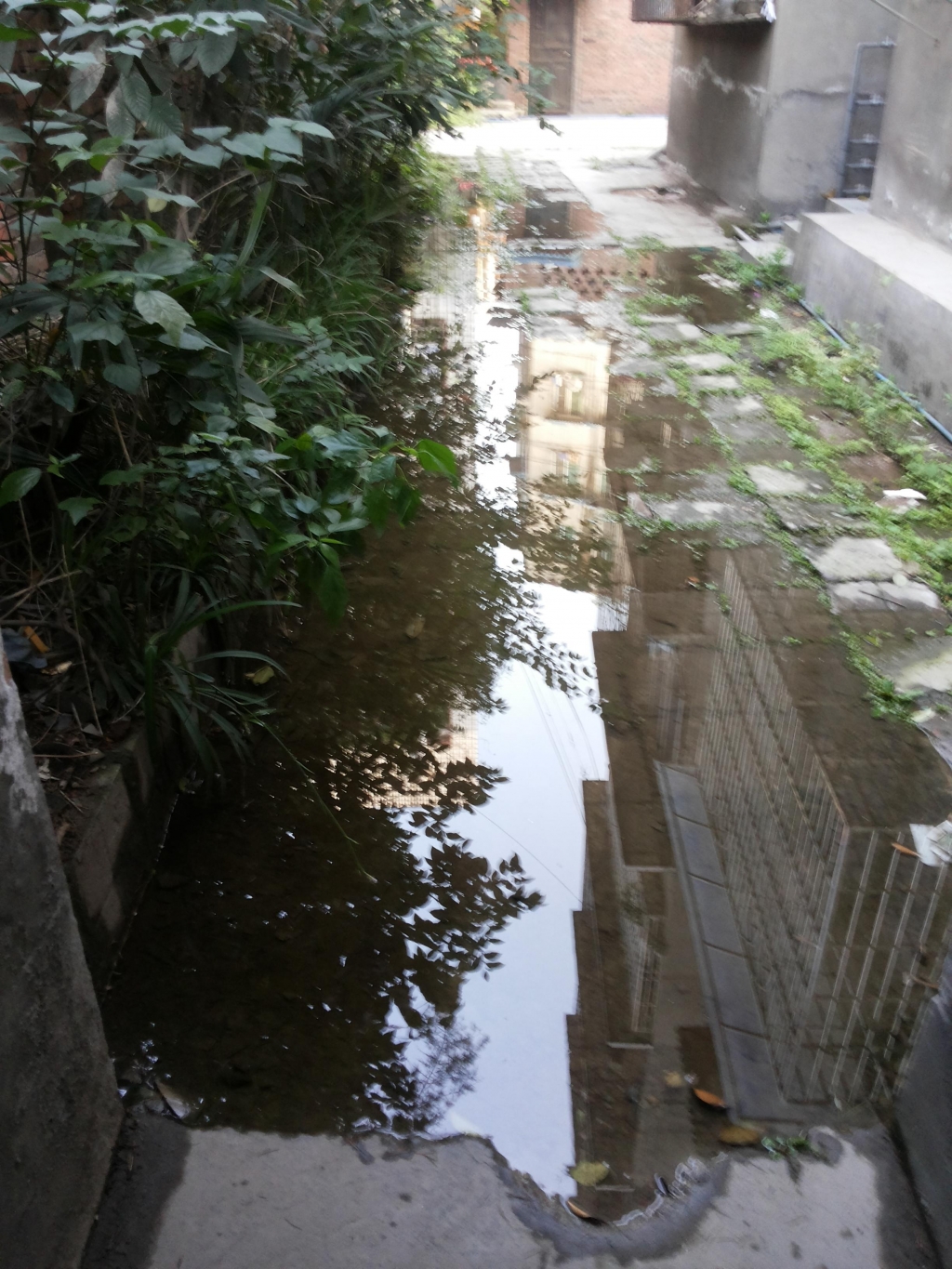 20150502_073456.jpg