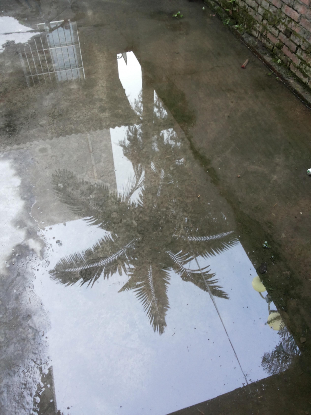 20150502_073514.jpg