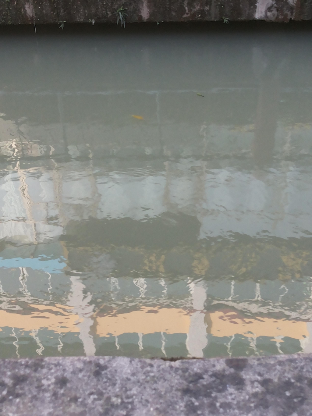 20150502_073752.jpg