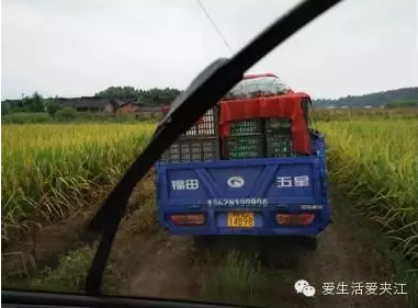 QQ图片20150807191549.png