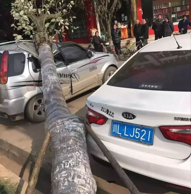 QQ图片20151227103753.jpg