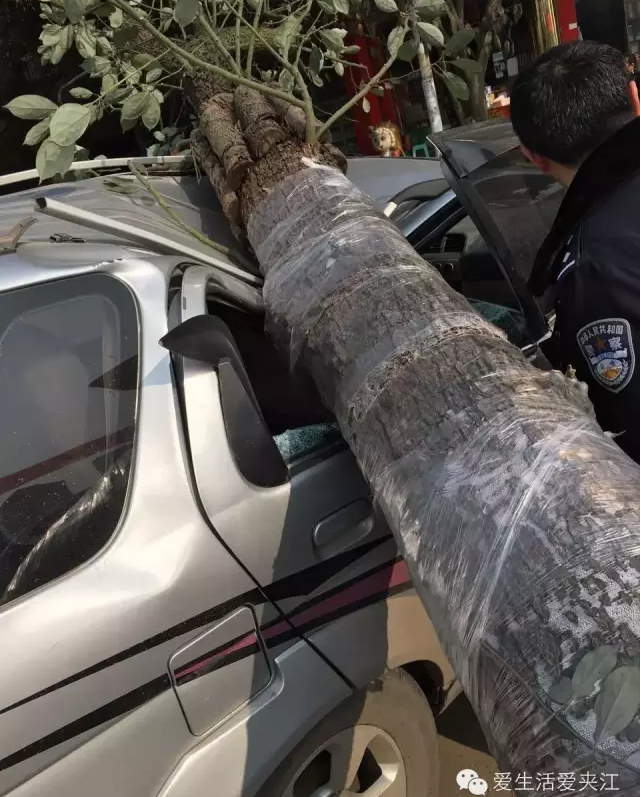 QQ图片20151227104007.png