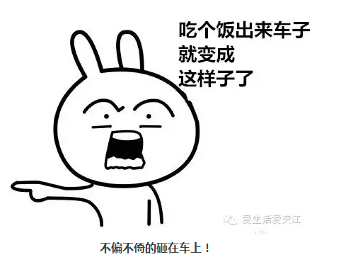 QQ图片20151227104133.png