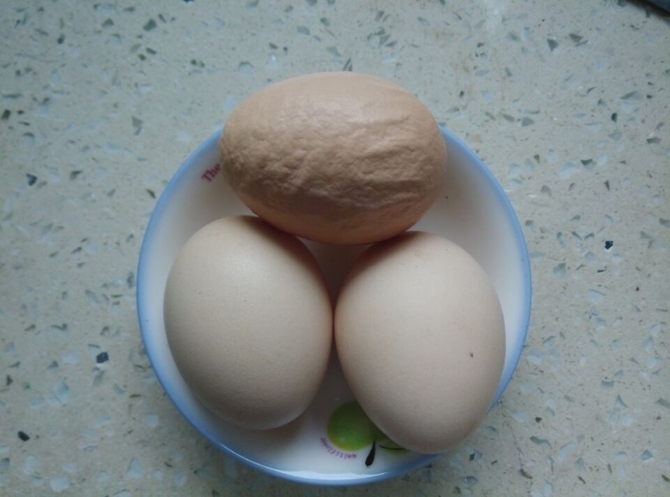 122508jcdmcmm9jyckbv9m.jpg
