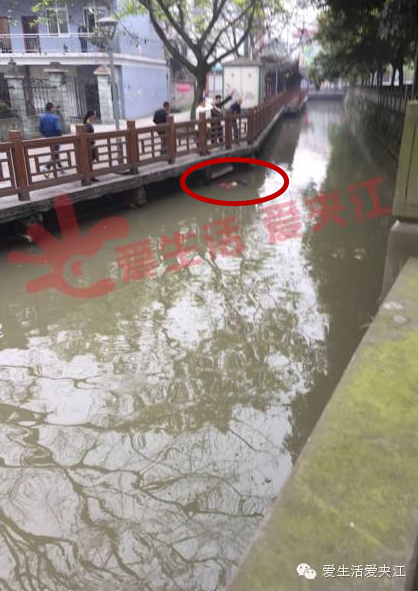 QQ截图20160411105945.png