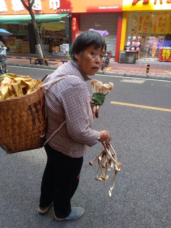 180559qb8kds8p6i4wlwpv.jpg