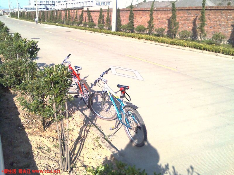 IMAG0030.jpg