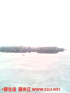 IMG0206A.jpg