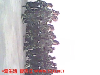 IMG0215A.jpg