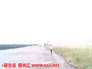 IMG0213A.jpg