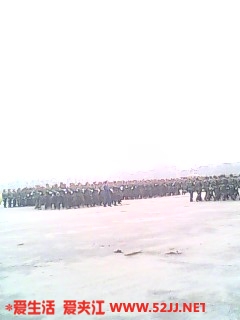 IMG0208A.jpg