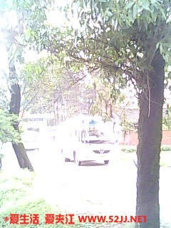 IMG0227A.jpg