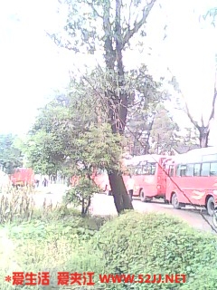 IMG0226A.jpg