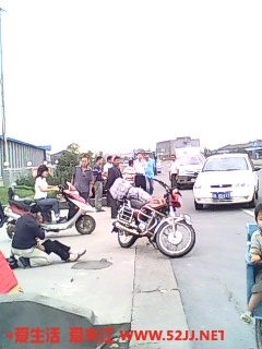 IMG0230A.jpg