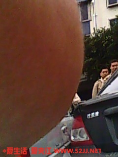 IMG0243A.jpg