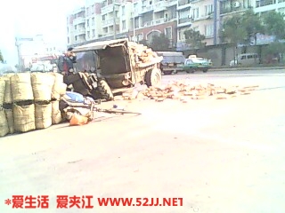 IMG0262A.jpg