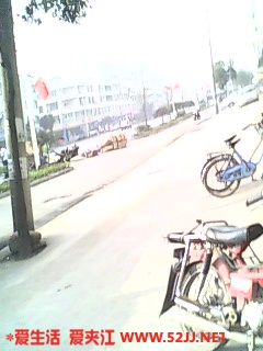 IMG0259A.jpg