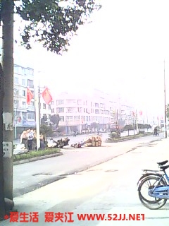 IMG0261A.jpg