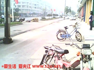 IMG0260A.jpg