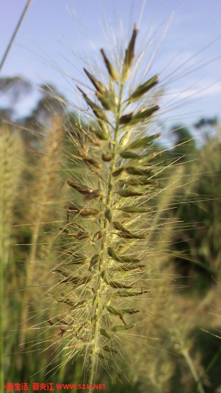 kdk_0086.jpg