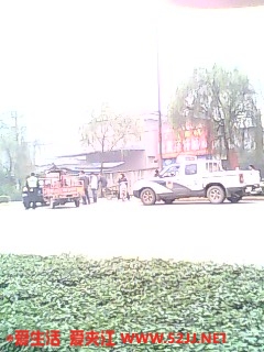 IMG0310A.jpg
