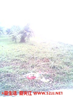 IMG0313A.jpg